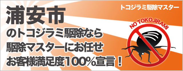 のトコジラミ駆除なら駆除マスターにお任せ!お客様満足度100%宣言