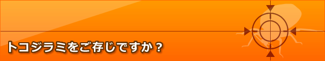 トコジラミをご存じですか?